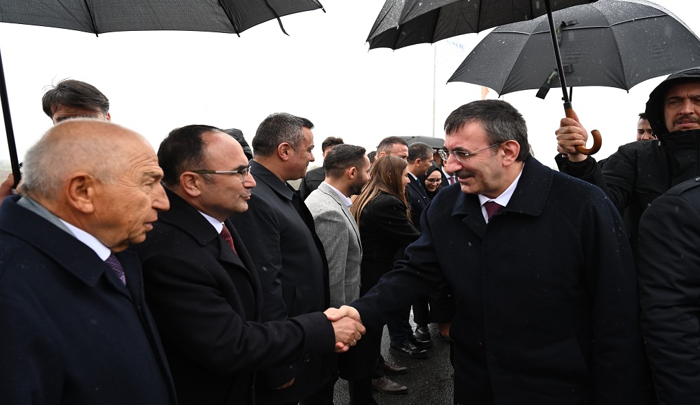 WhatsApp Image 2025-03-18 at 18.29.54.jpeg