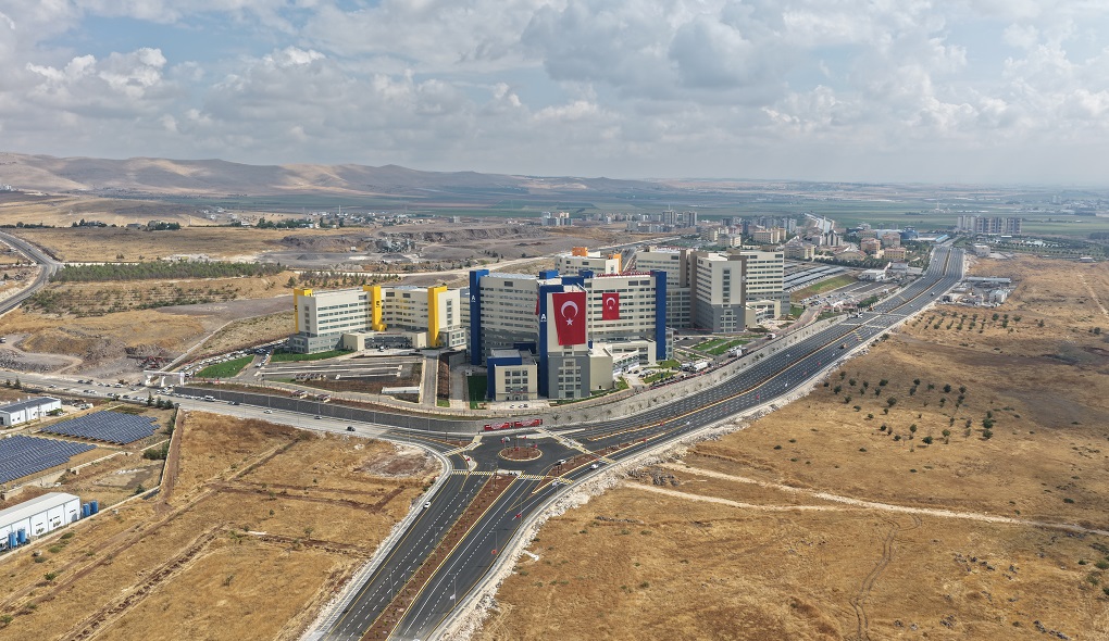 DJI_20261002105020_0066_D.JPG.jpeg