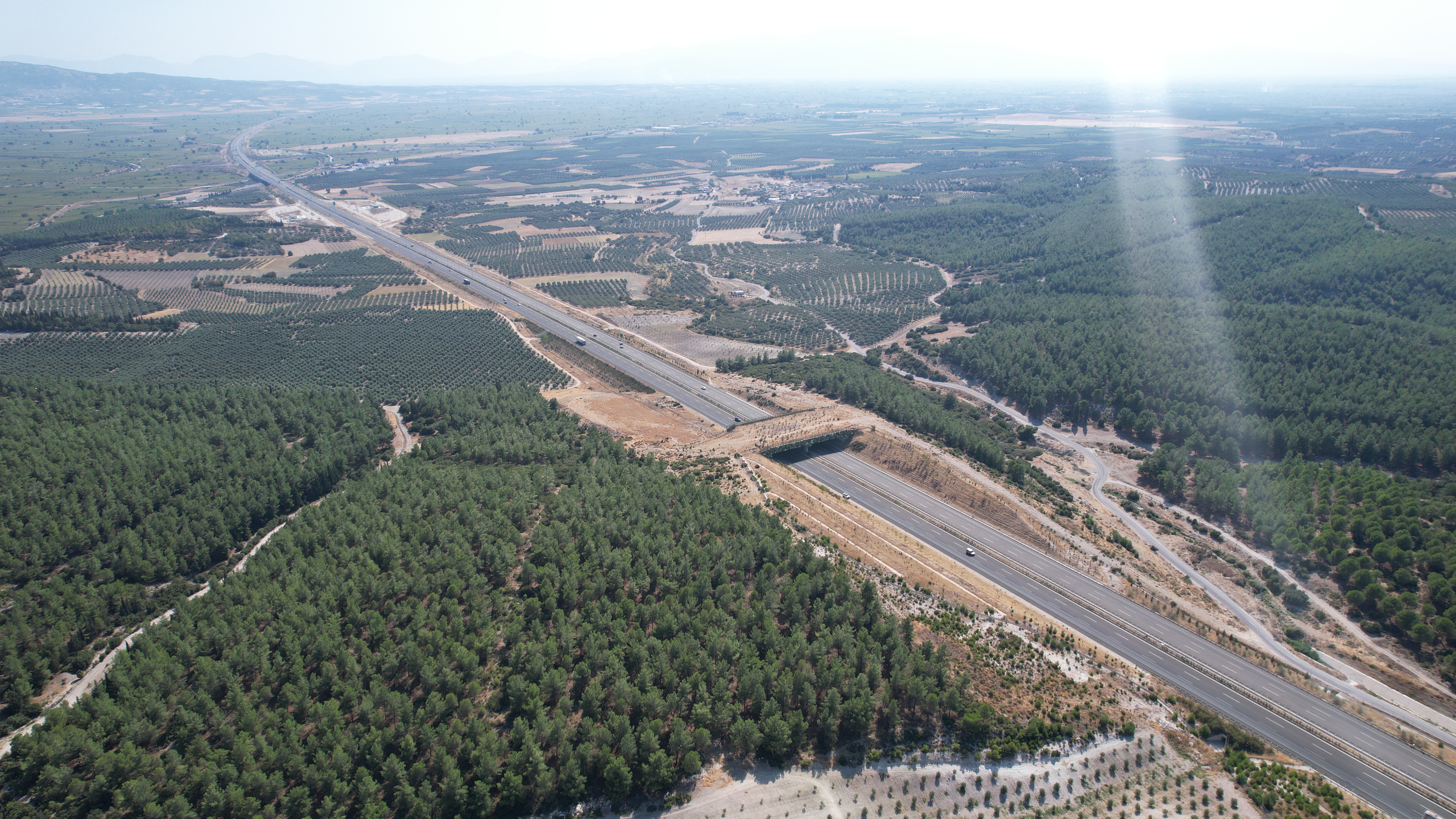 DJI_0310.JPG