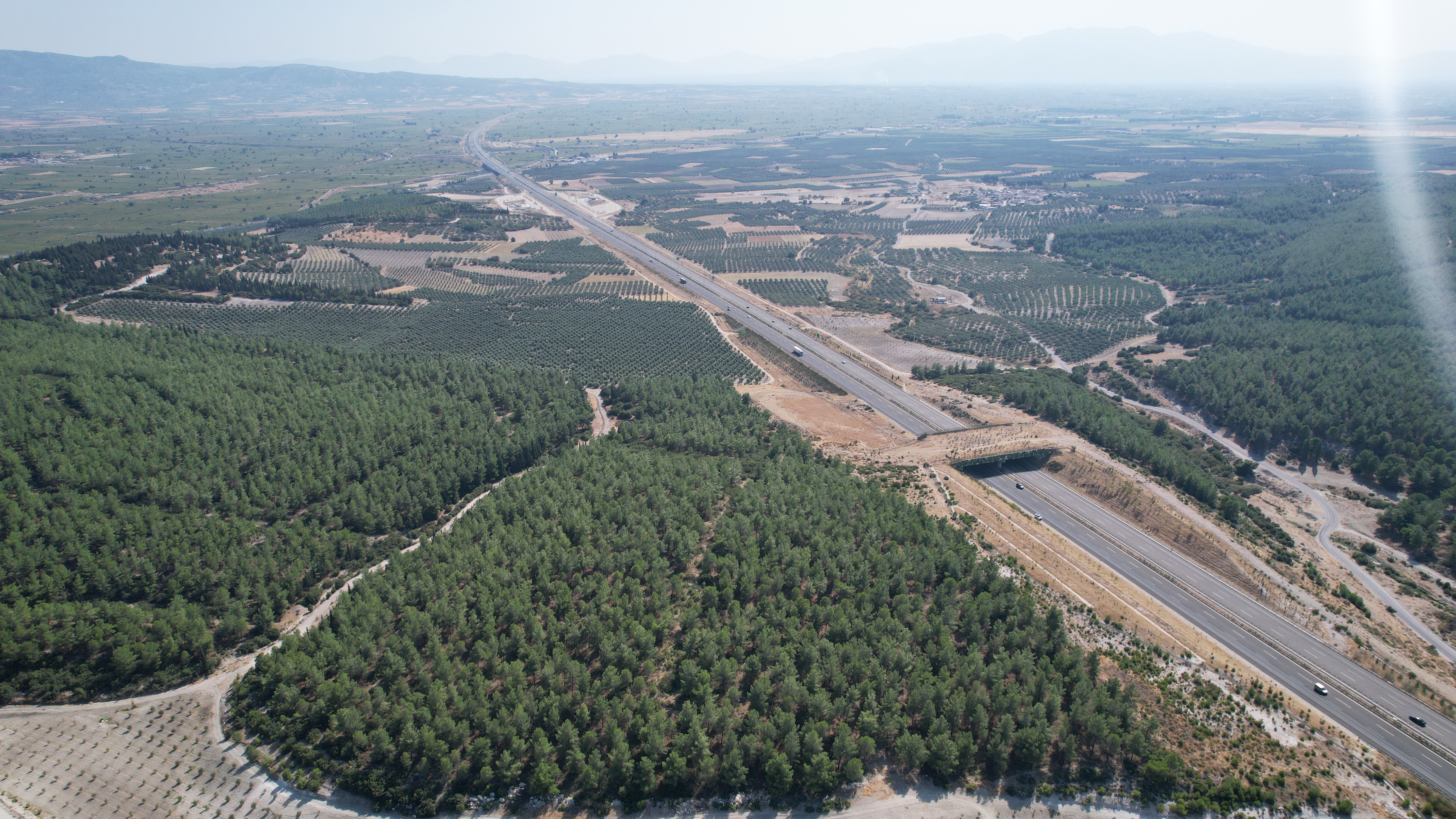 DJI_0311.JPG