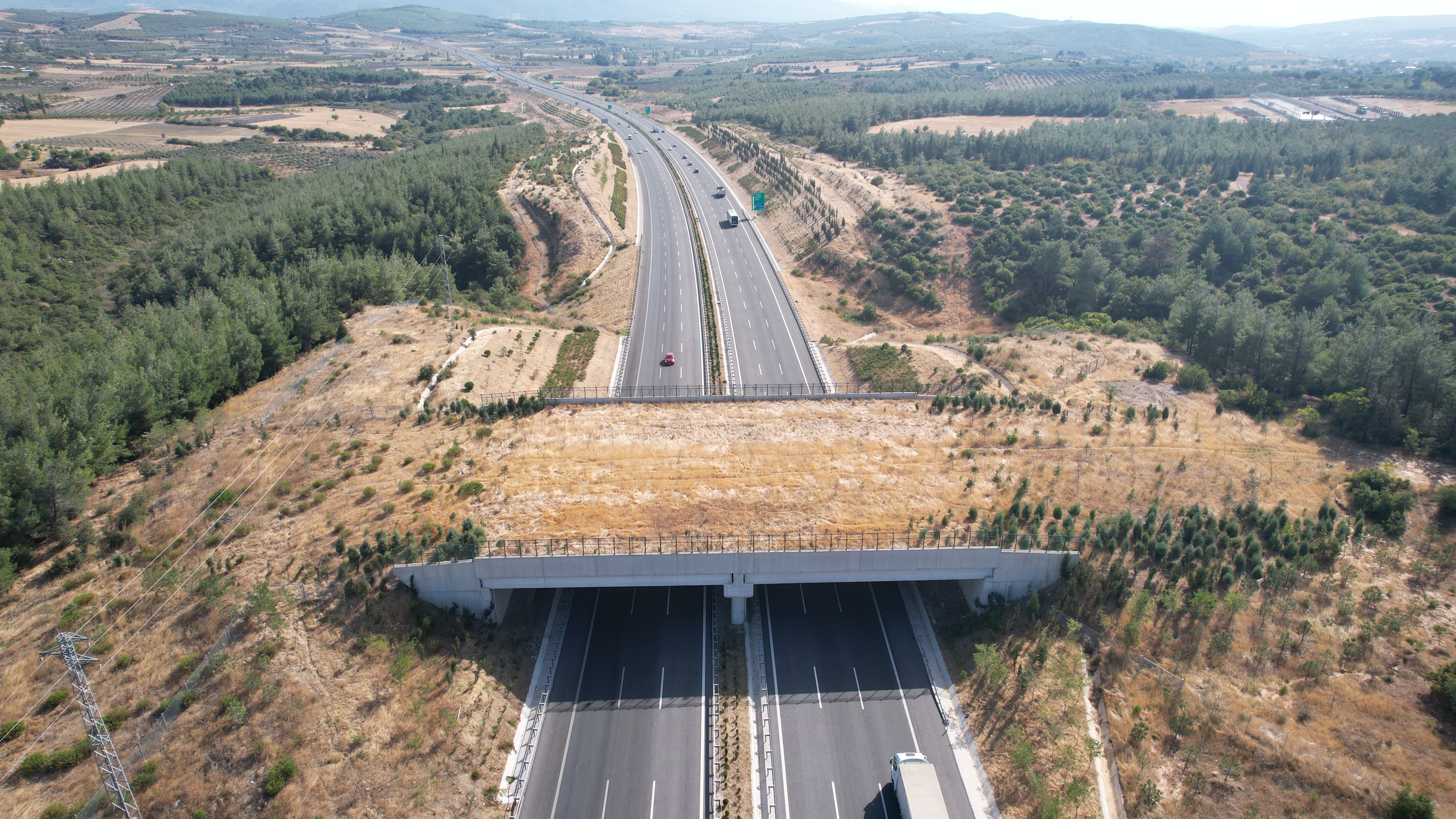DJI_0321.JPG