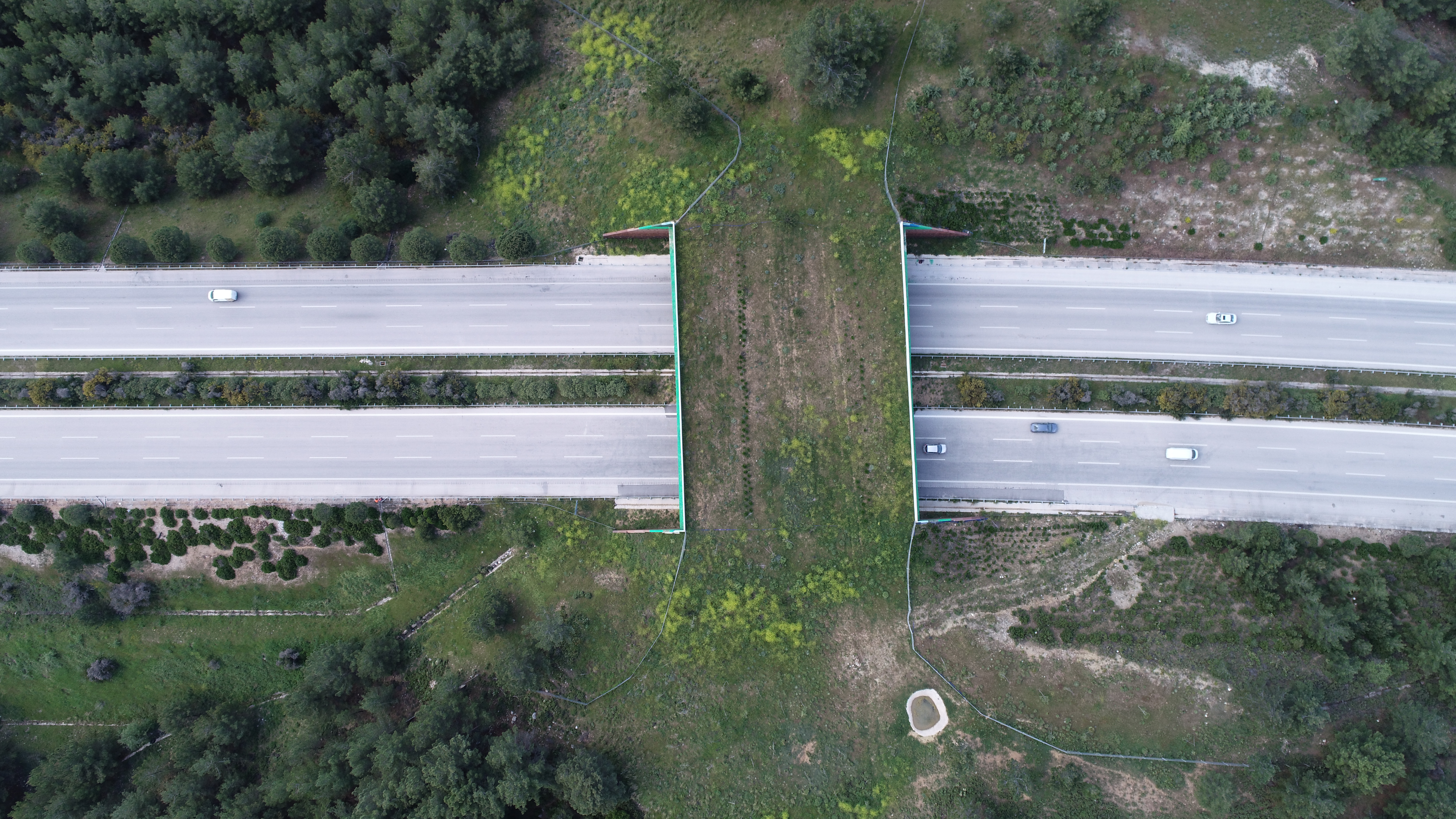 DJI_0246.JPG