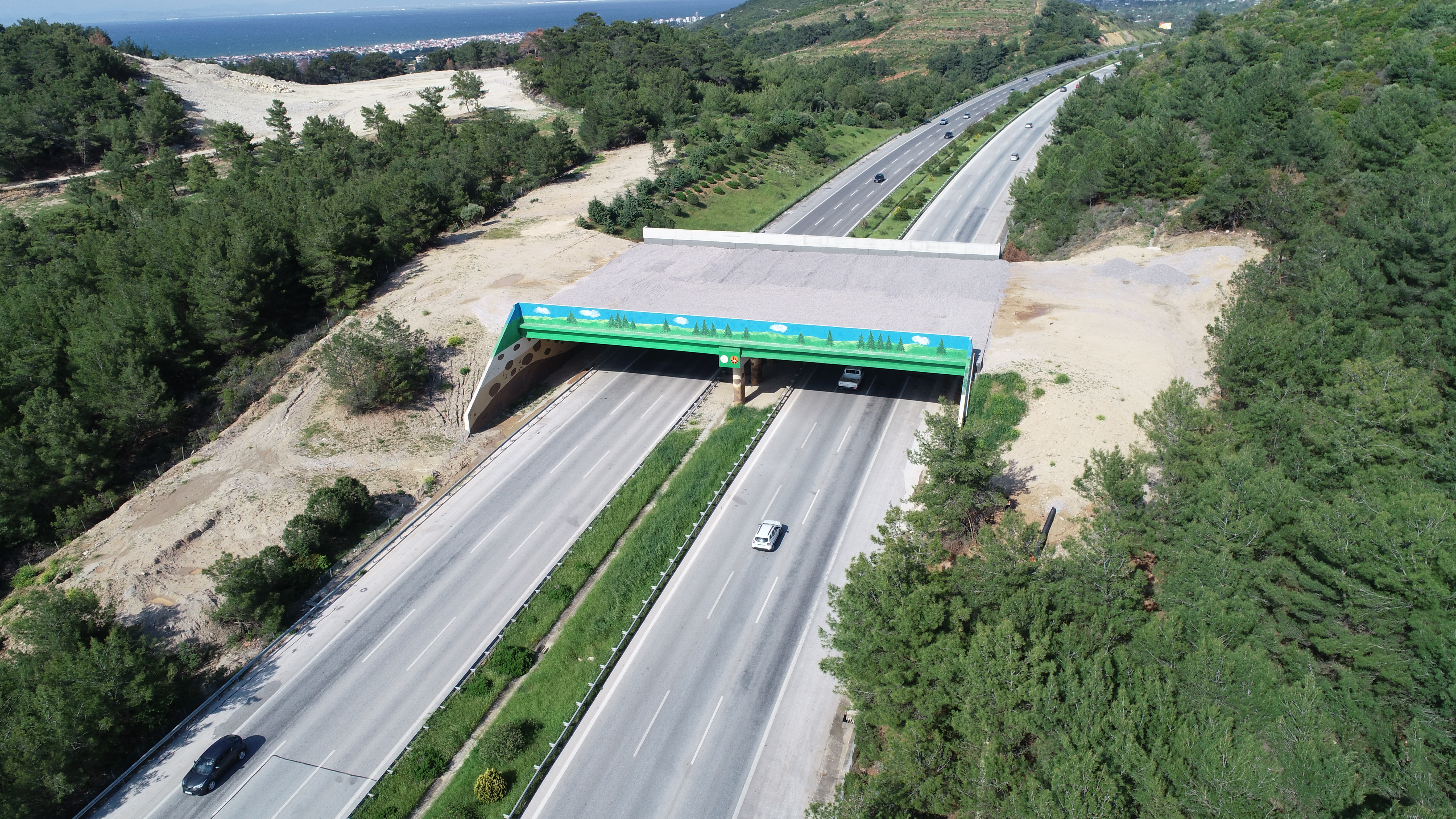 DJI_0295.JPG