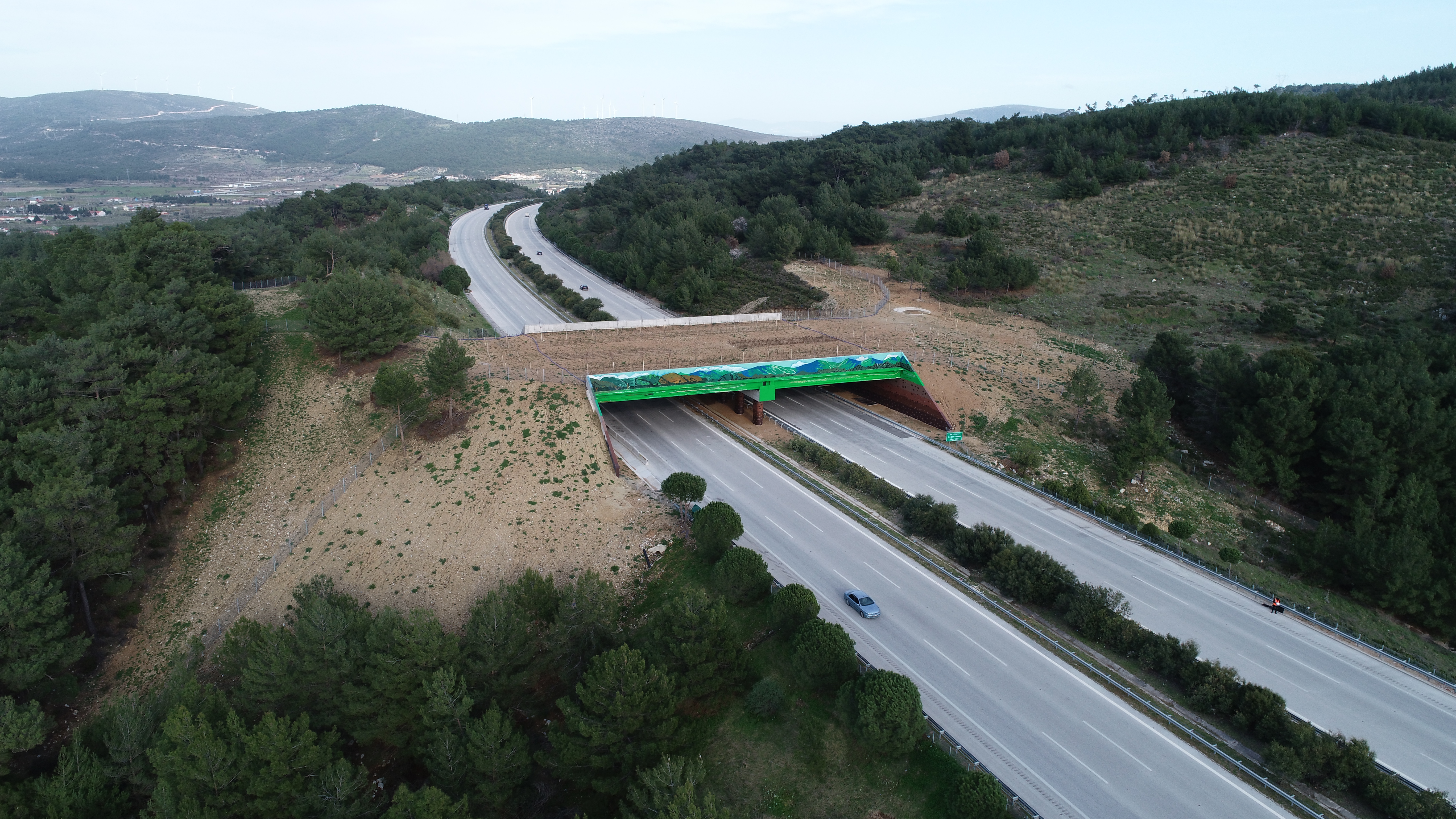 İzmir - Çeşme Otoyolu Zeytinler Ekolojik Köprüsü.JPG