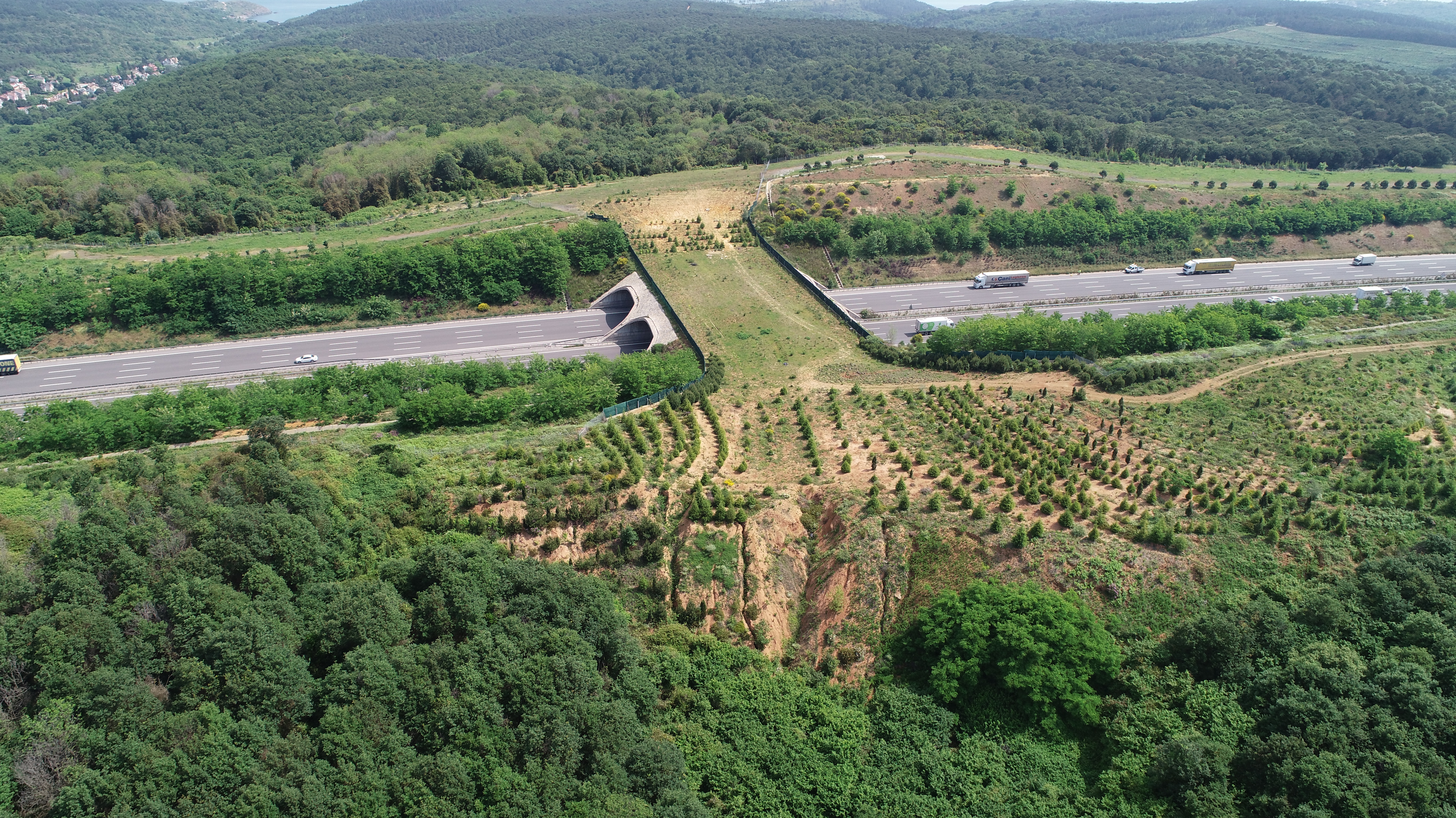 DJI_0055.JPG