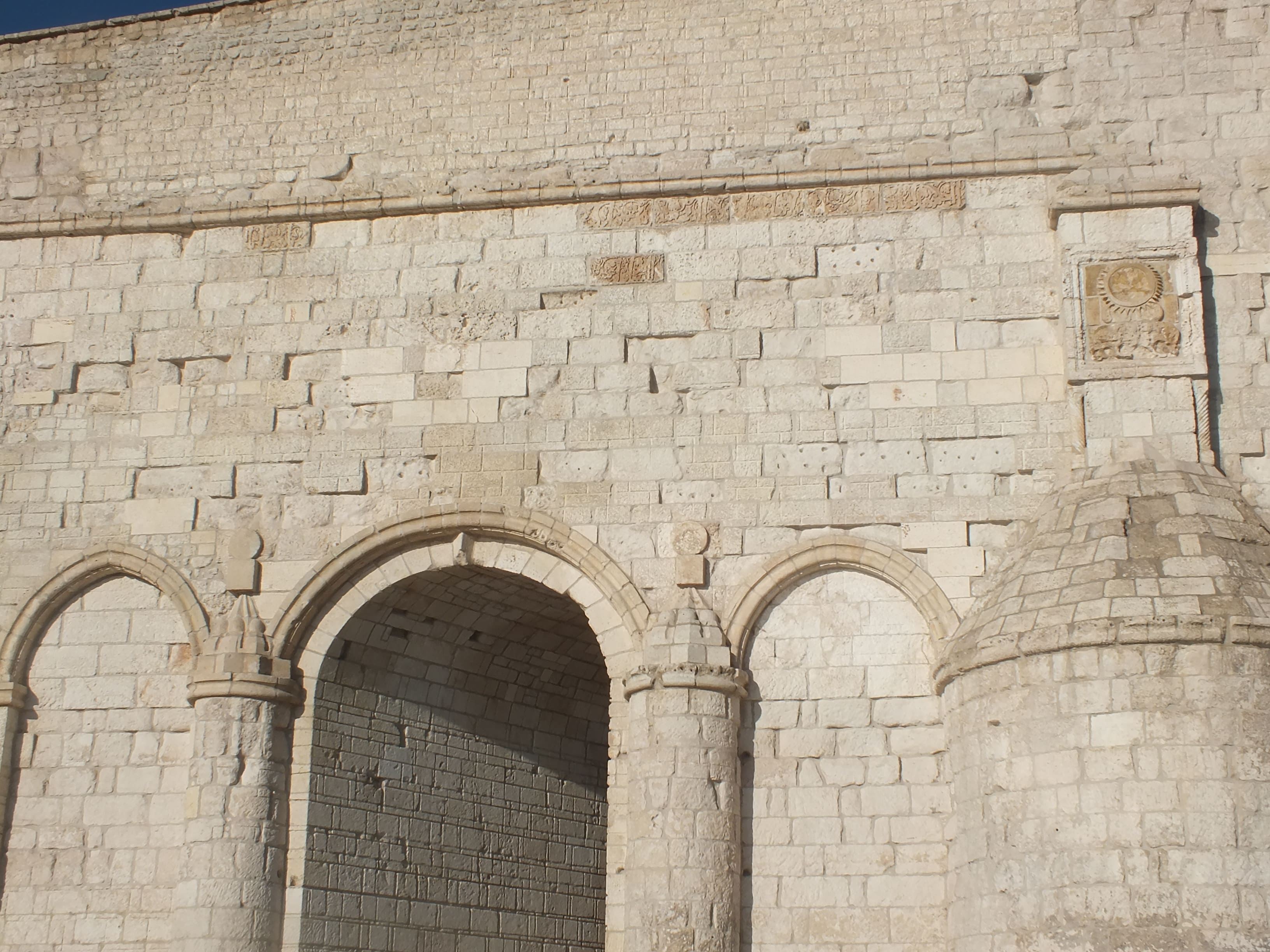 DSCF2796.jpg