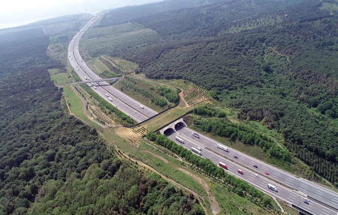 EKOLOJİK KÖPRÜ (3).JPG
